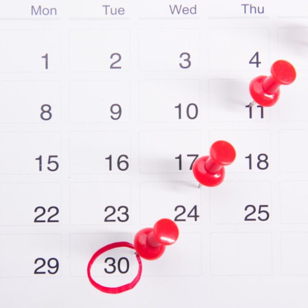 Calendar with pins in it